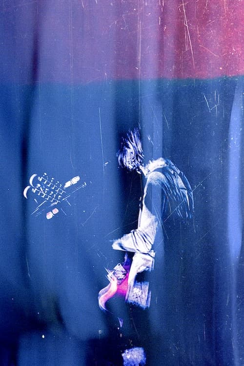 ブランデー戦記のライブ写真