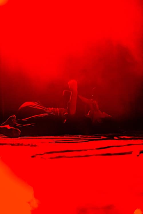 GOMESSのライブ写真